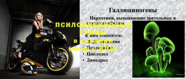 ГАЛЛЮЦИНОГЕННЫЕ ГРИБЫ Елизово