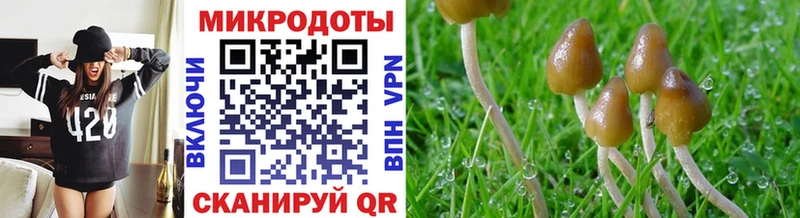 мега зеркало  Орск  Галлюциногенные грибы Cubensis 